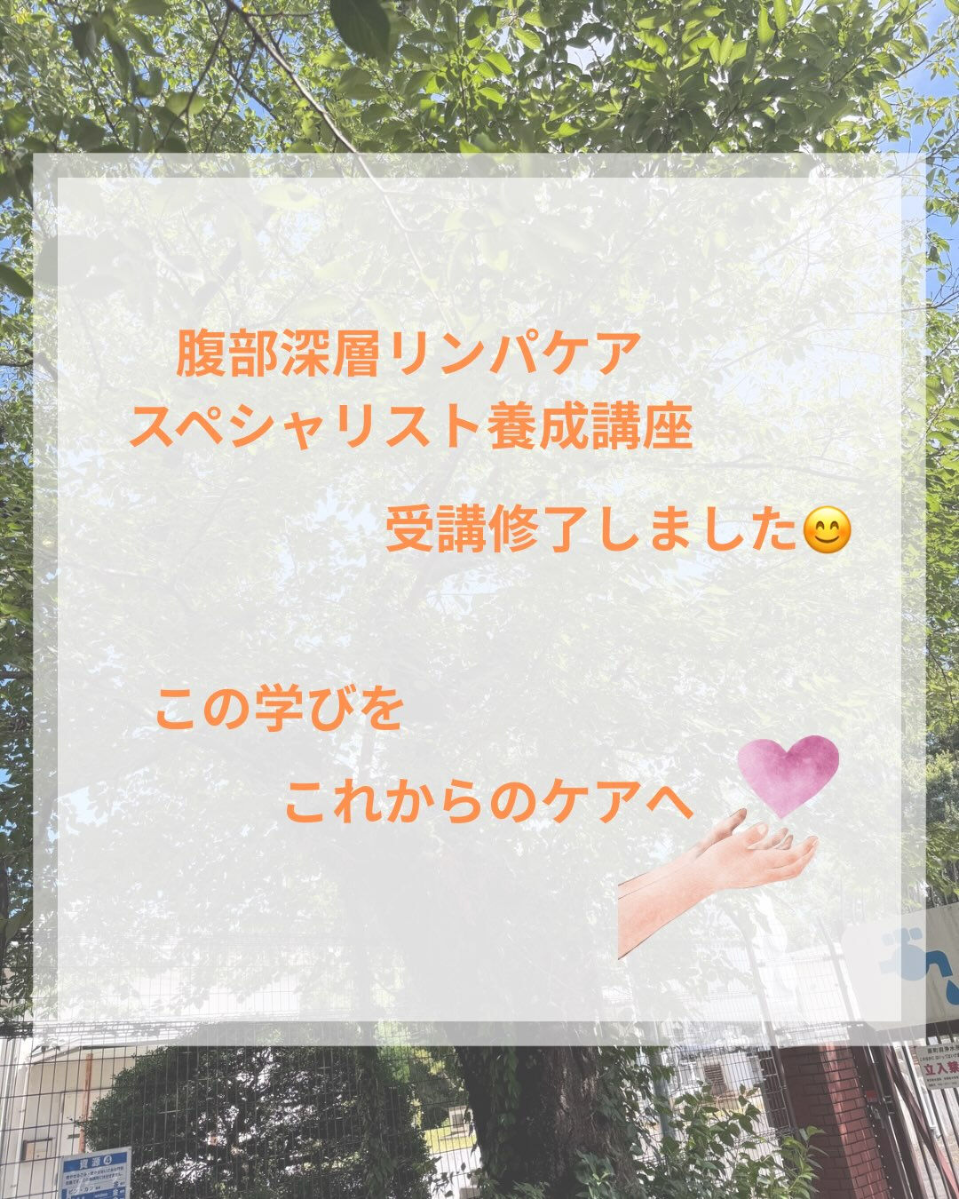 先日、