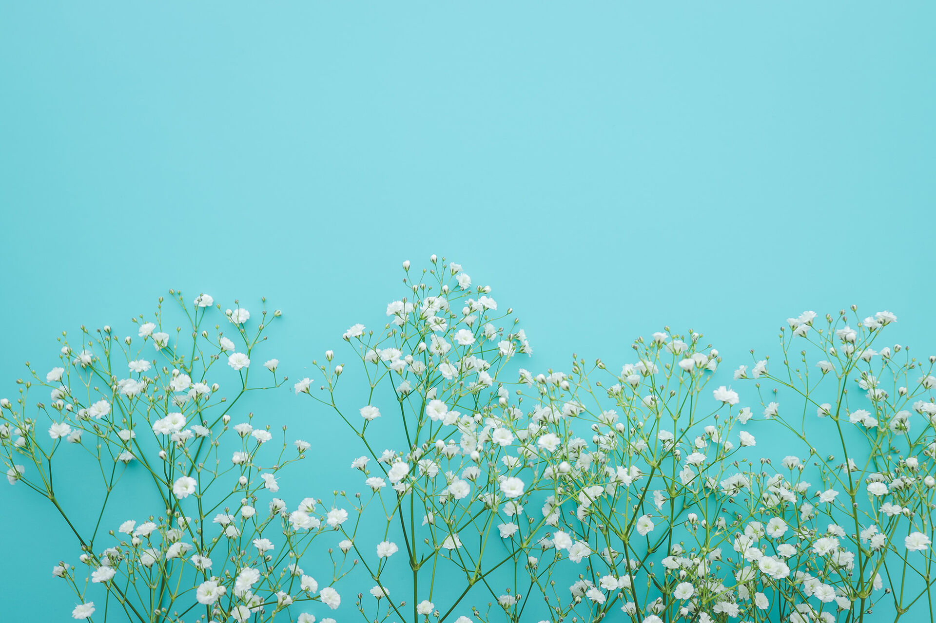Whiteday2020-12